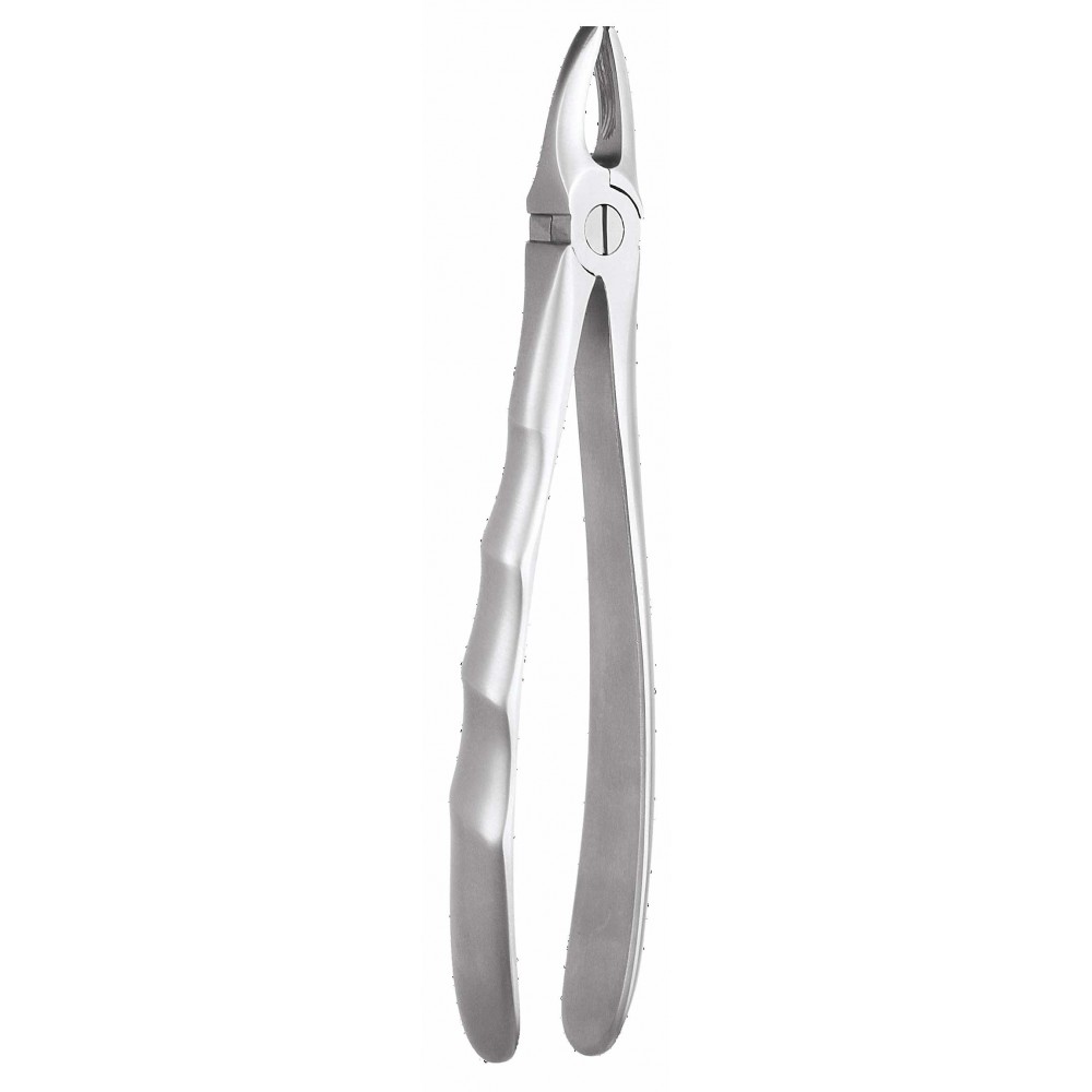 Buy Ergonomic Extraction Forcep Upper Anteriors FX1E GDC